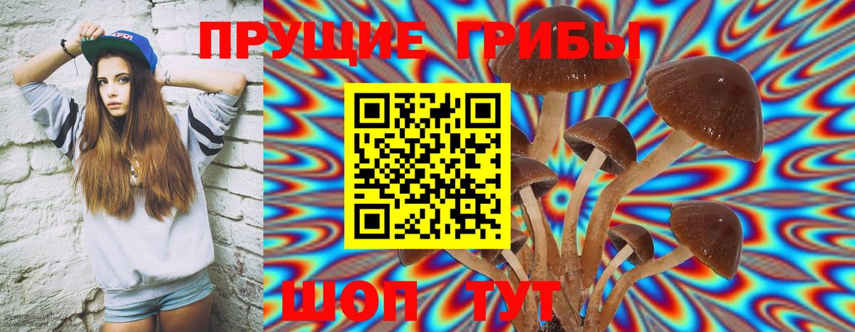 Псилоцибиновые грибы Psilocybine cubensis  Вход с VPN  Псилоцибиновые грибы GOLDEN TEACHER  Сызрань 
